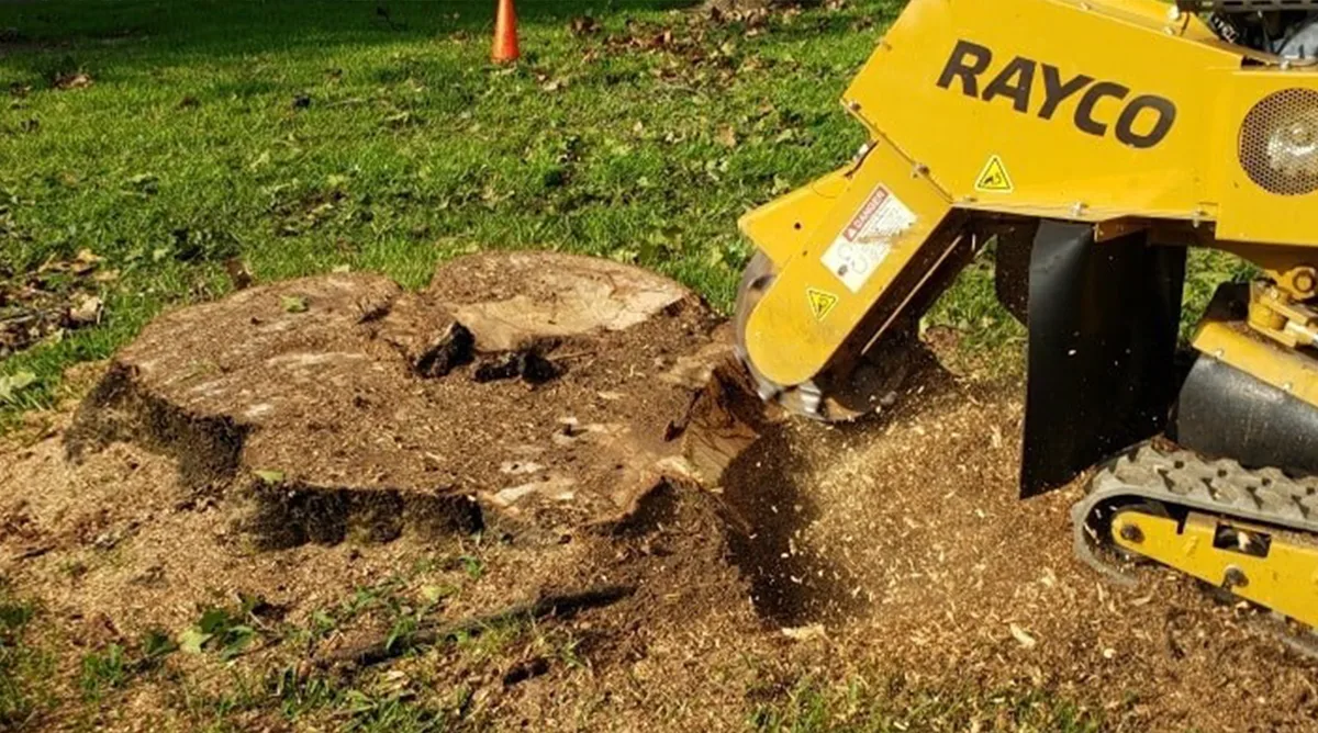 Stump Grinding | JW Tree Service