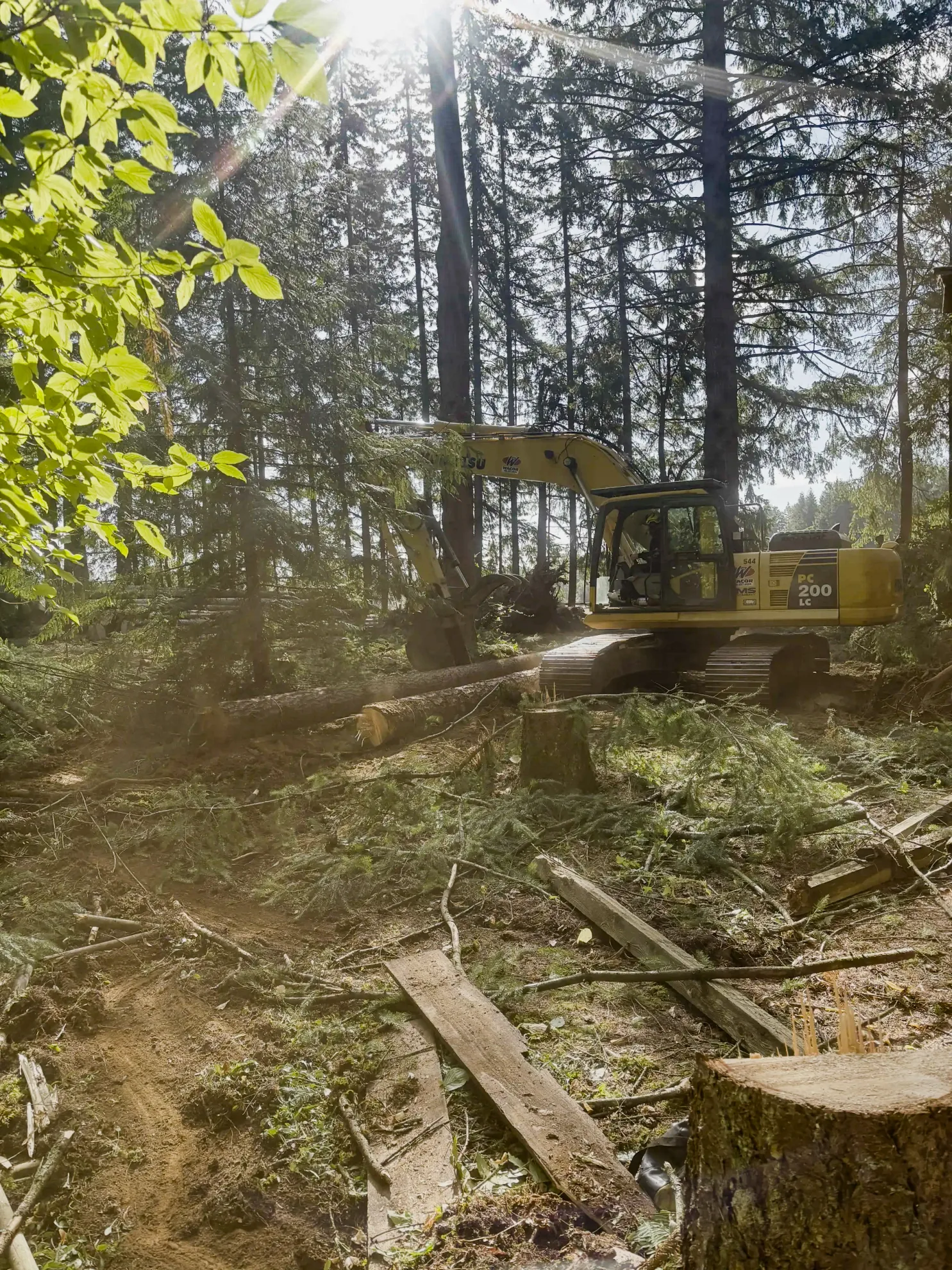 Lot Clearing