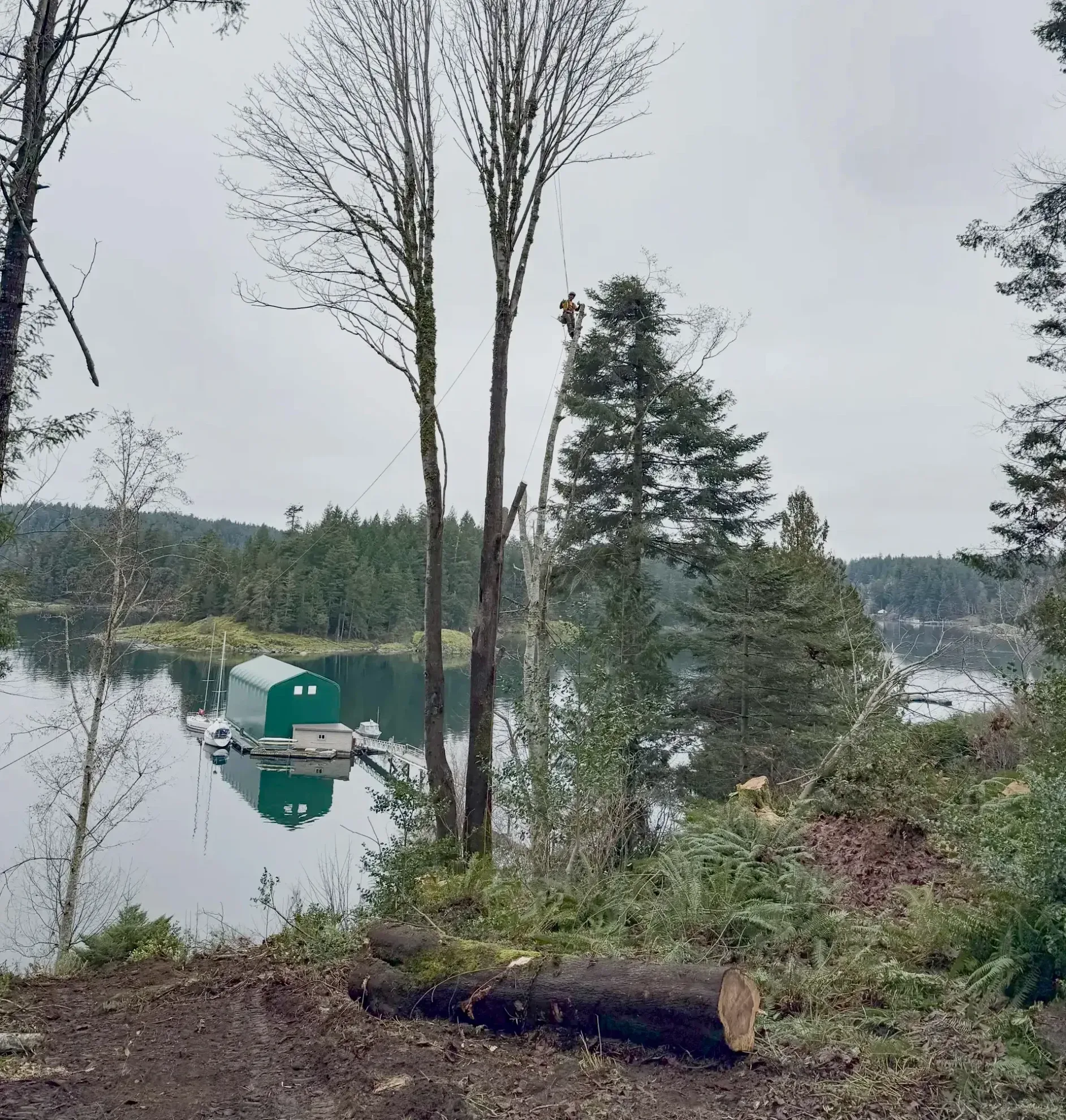 View Enhancement